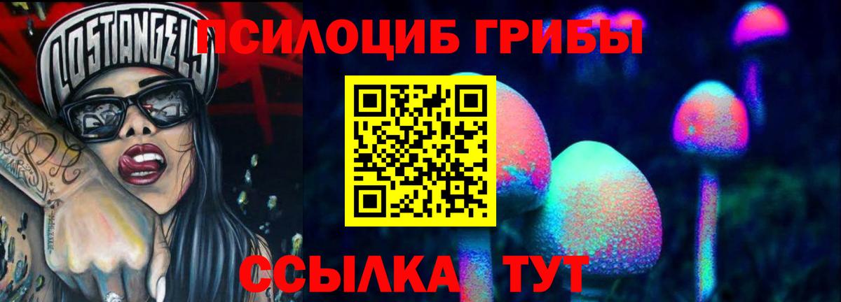 Качканар  Псилоцибиновые грибы прущие грибы  Галлюциногенные грибы Psilocybe  Вход с VPN 